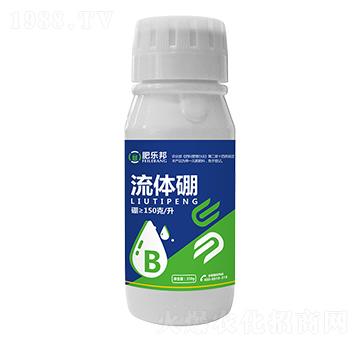 ���w��-�ʘ���-�׶���