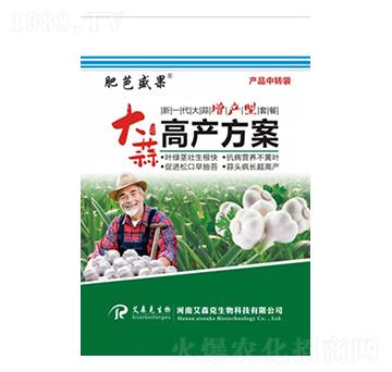 大蒜高產(chǎn)方案-肥芭盛果-愛森克