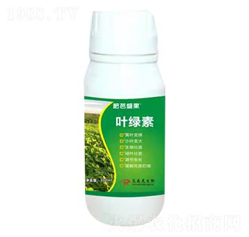 葉綠素-肥芭盛果-愛森克