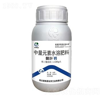 ���~�}��-��ʩ��