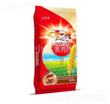 �������20-20-6-�Ͽ��S-���r����