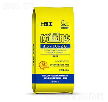 ��(y��u)����15-10-20-�Ͽ��S-���r����