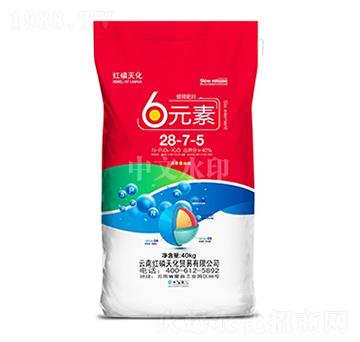 6Ԫ��28-7-5-���r����