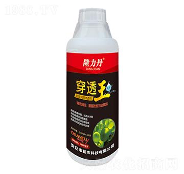 ��������B͸��-��͸��-���r(n��ng)