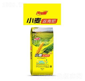 С�������-��鸻-���r����