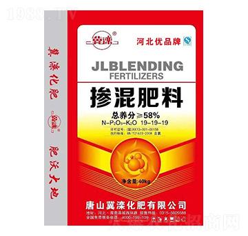 �������19-19-19-����