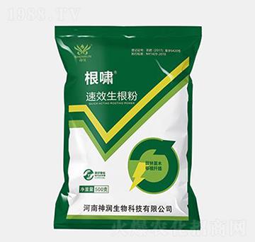 ���[������-��(r��n)�r(n��ng)�I(y��)