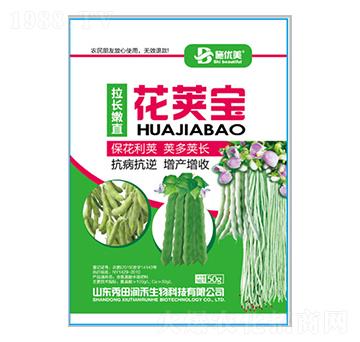 ���v��-�����