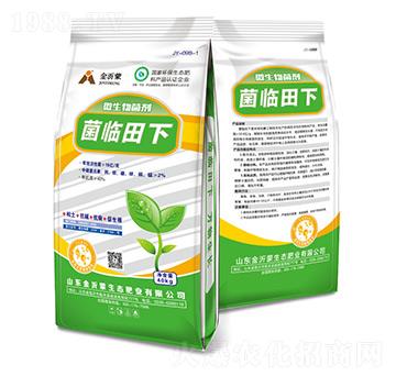 ΢�������-���R����-������