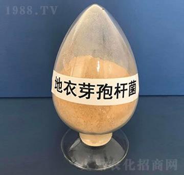 ����ѿ�ߗU�����ۄ���-��������