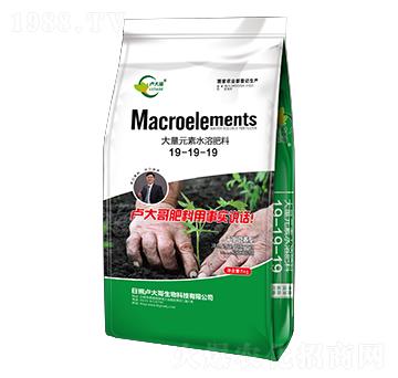 ƽ��I�B(y��ng)�ʹ���Ԫ��ˮ�ܷ���19-19-19-�R�������