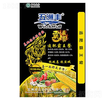 ׷�ʰ�����-�����S