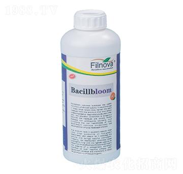 ������������B(y��ng)��-����ķ-�M���Z