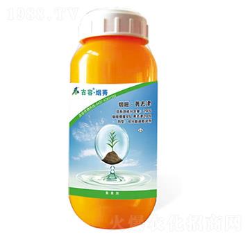 24%���ס�ݬȥ��-���ݡ���ݬ-����