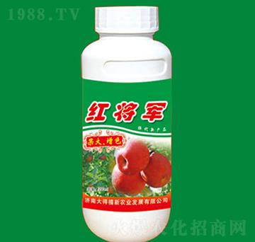 �t��܊-������ɫ-���