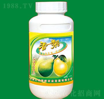 ���挣������\�F�}��-