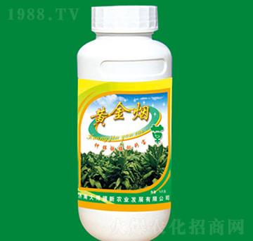 ��\�F�i�f�}��-�S��