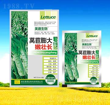 �n������ۉ��L(zh��ng)-��������