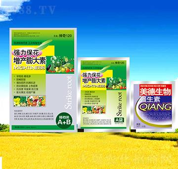 �������a(ch��n)�����-��������