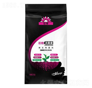 ���R��΢�������-�޸�����