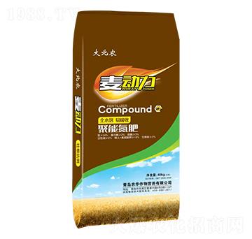 ���ܵ���-������-���r(n��ng)-�r(n��ng)�A