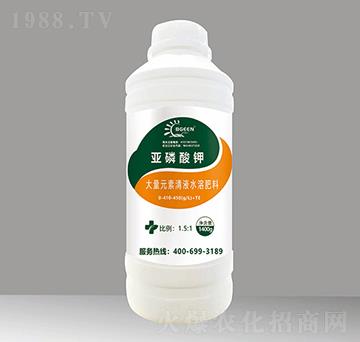 �������0-410-450+TE-�͸񠖹��ܷ�