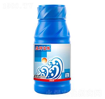 20�|PIBÿ��������x���Ͷ���w������200g��-ӯ�x���v-ӯ�x