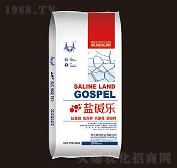 �}�A��(l��)-���r(n��ng)�ʘI(y��)