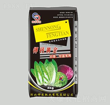 �ײ˸��{������}�S��-���r(n��ng)�S��-���r(n��ng)�ʘI(y��)