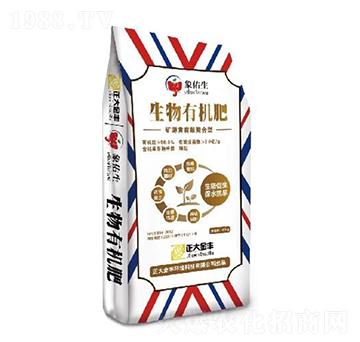 ���Դ���ɵ��������ЙC(j��)��-������S