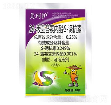 24-���|̦�؃�(n��i)����S-�T����-�����o(h��)-���r(n��ng)����