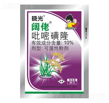 10%���׻�¡-�Թ����-ӯ�x