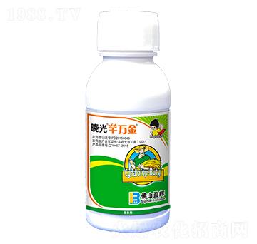 10%�������-�Թ�ܷ�f(w��n)��-ӯ�x