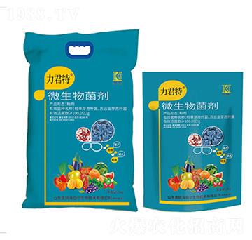 ΢�������-������-��