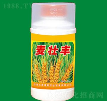 �����S-�����