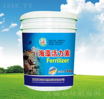 ��������؛_ʩ��-�������