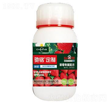 ��ݮ���÷�-�Y�����