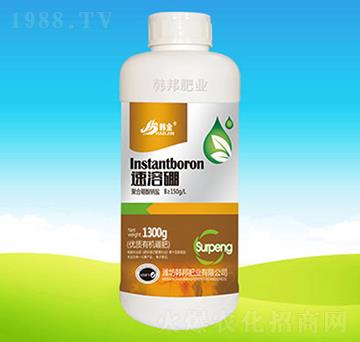 ��(y��u)�|(zh��)�ЙC���-������-�n��ʘI(y��)