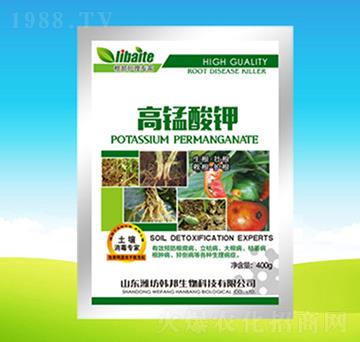 ���i���-�n��ʘI(y��)