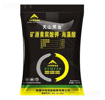 �VԴ�S����⛡�������-��ɽ�ڽ�-����ú