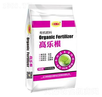 �ߘ����ЙC(j��)����-������