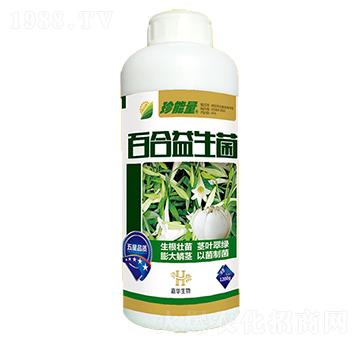 �ٺ�������-���A����