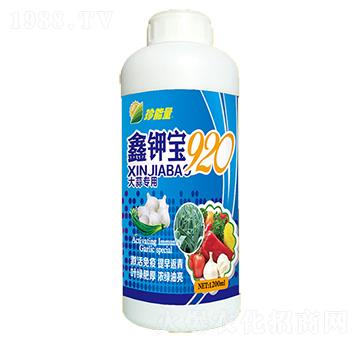 ���⌣��-��⛌�920-������-���A����