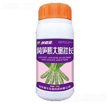 �n�S����ۉ��L-���A����