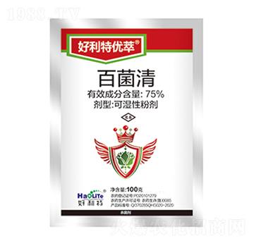 75%�پ���-�����؃�(y��u)