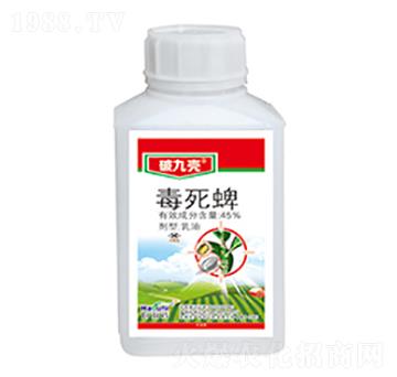 45%������-�ƾŚ�-