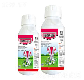 10��x(ch��ng)��-���������`