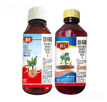 50%���١�������-��