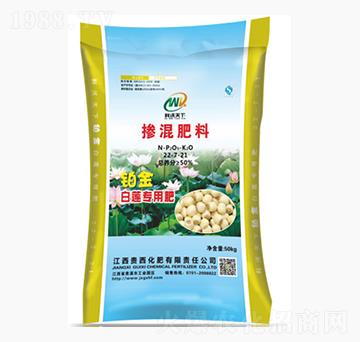 ��ɏ���Ó����22-7-21-�F������