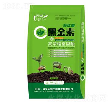 �ڽ���-���